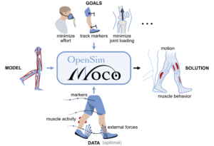 OPENSIM MOCO – Mobilize Center